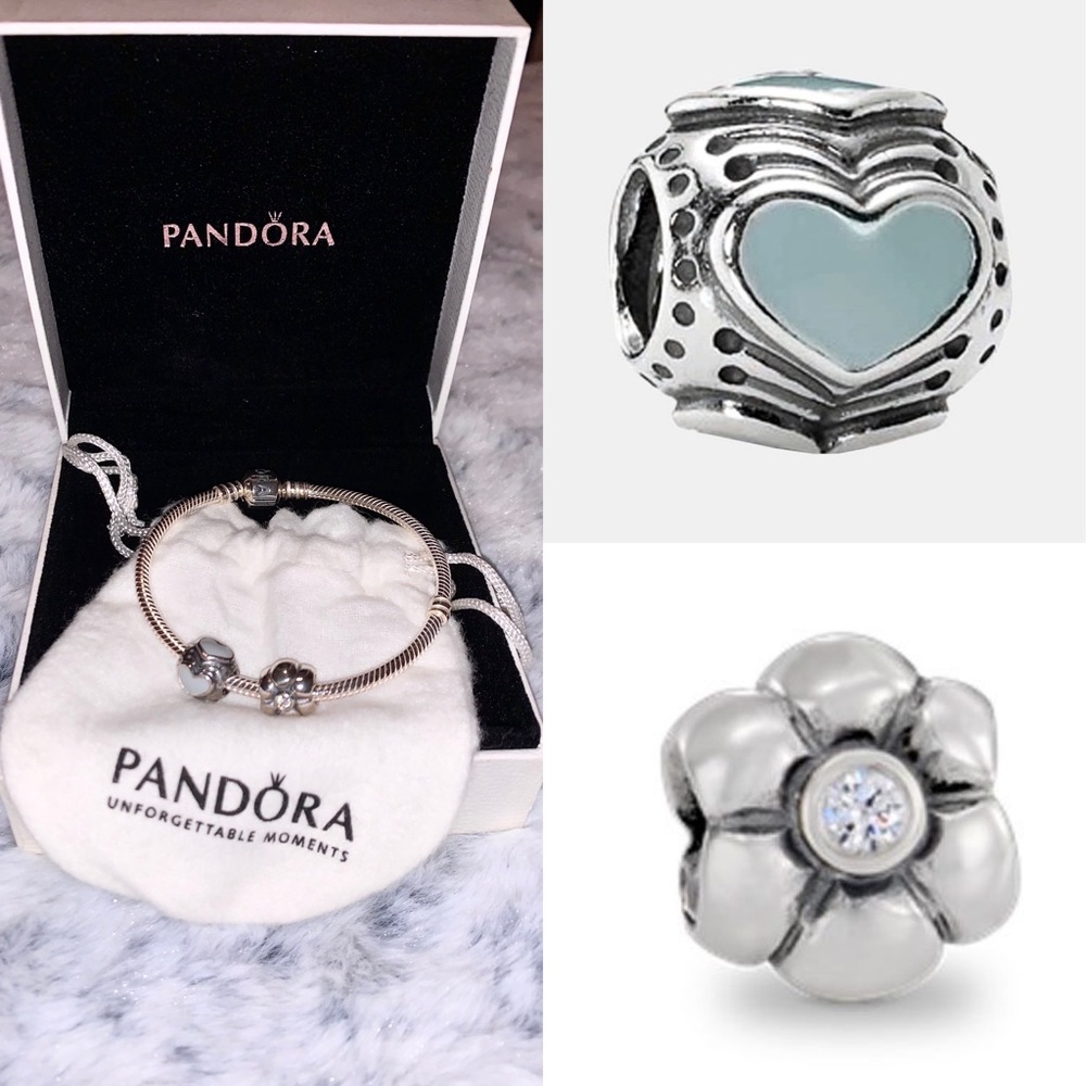 Pandora Charm Bracelet with Two Beautiful Charms